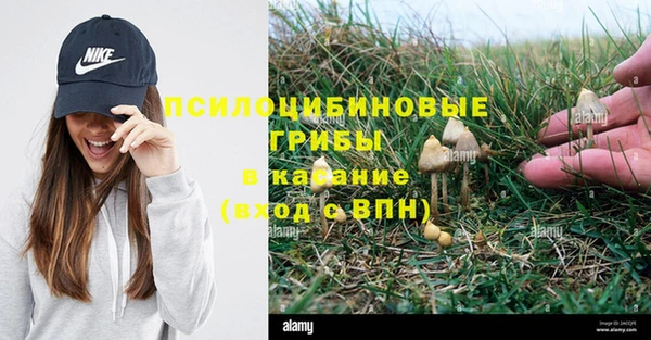 крисы Балабаново