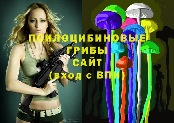 ECSTASY Белокуриха