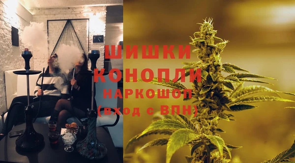 крисы Балахна