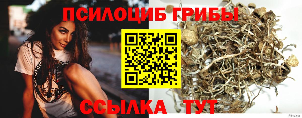 Волжск  Псилоцибиновые грибы мухоморы  Вход с VPN 