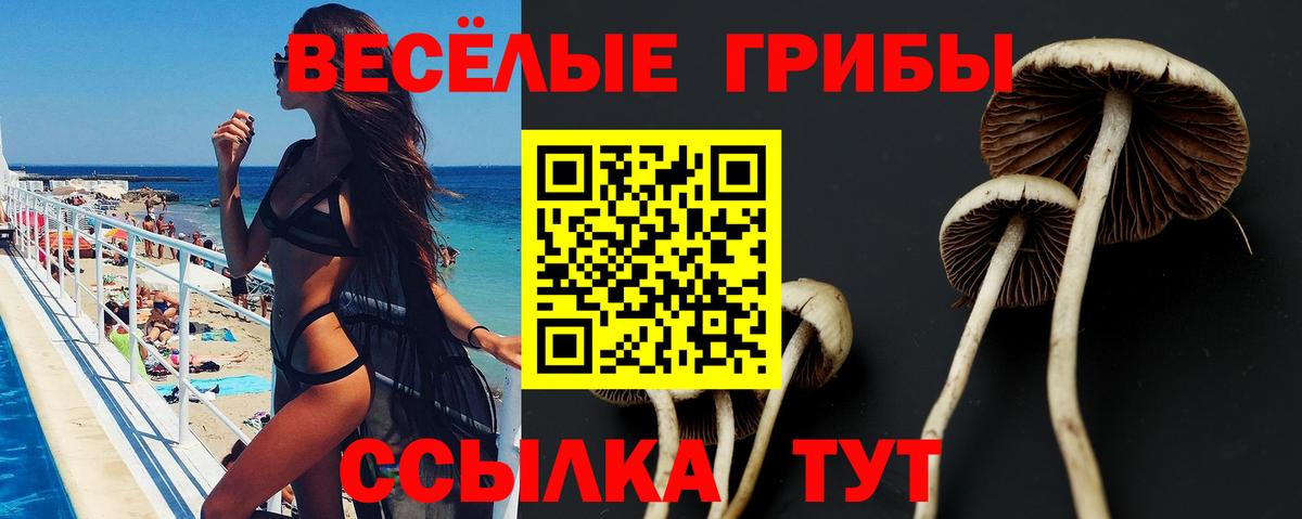 Псилоцибиновые грибы GOLDEN TEACHER Волжск